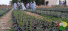 visite chef antenne au tchad 4